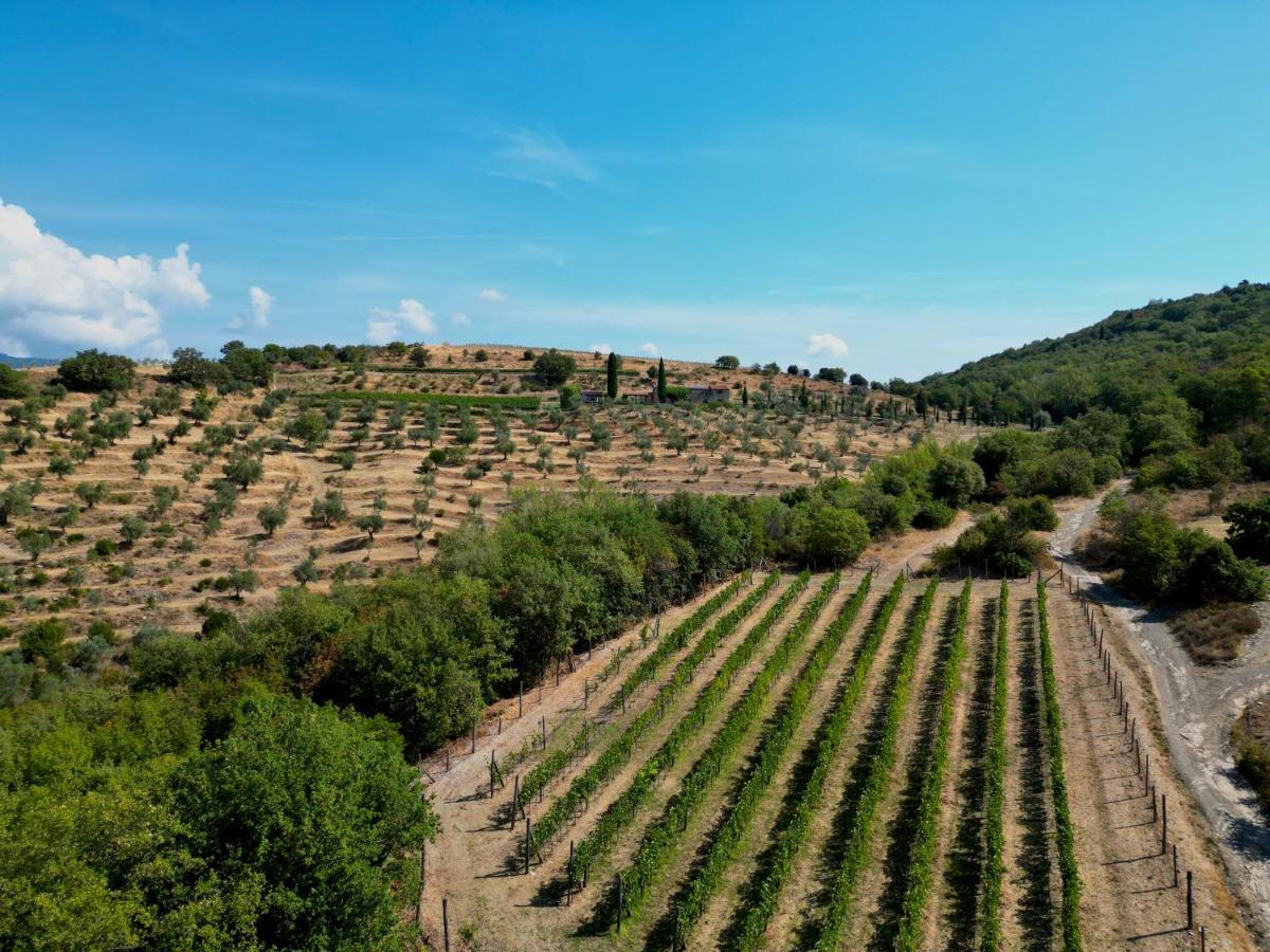 Agriturismo Henni Villa Cortona Exterior foto